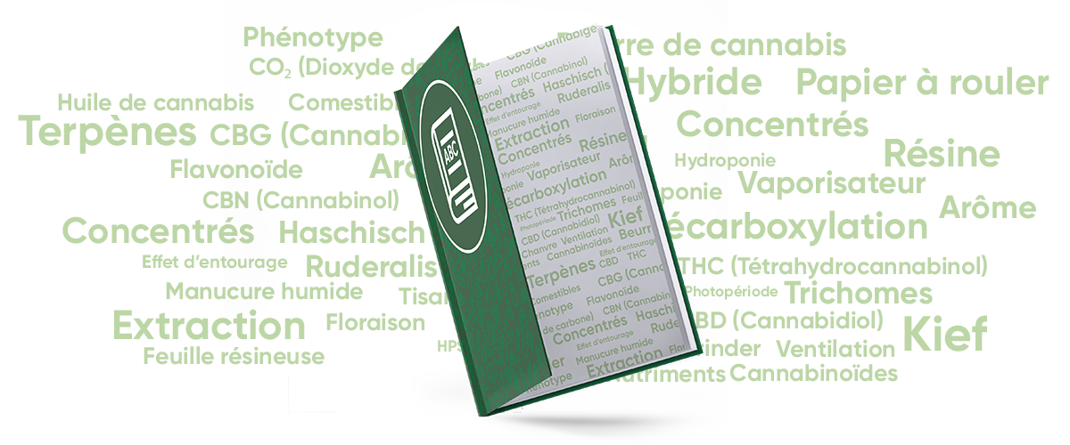 Lexique du cannabis Lexique du cannabis