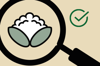 Cannabis edibles - Sweets banned in Québec Cannabis edibles - Sweets banned in Québec