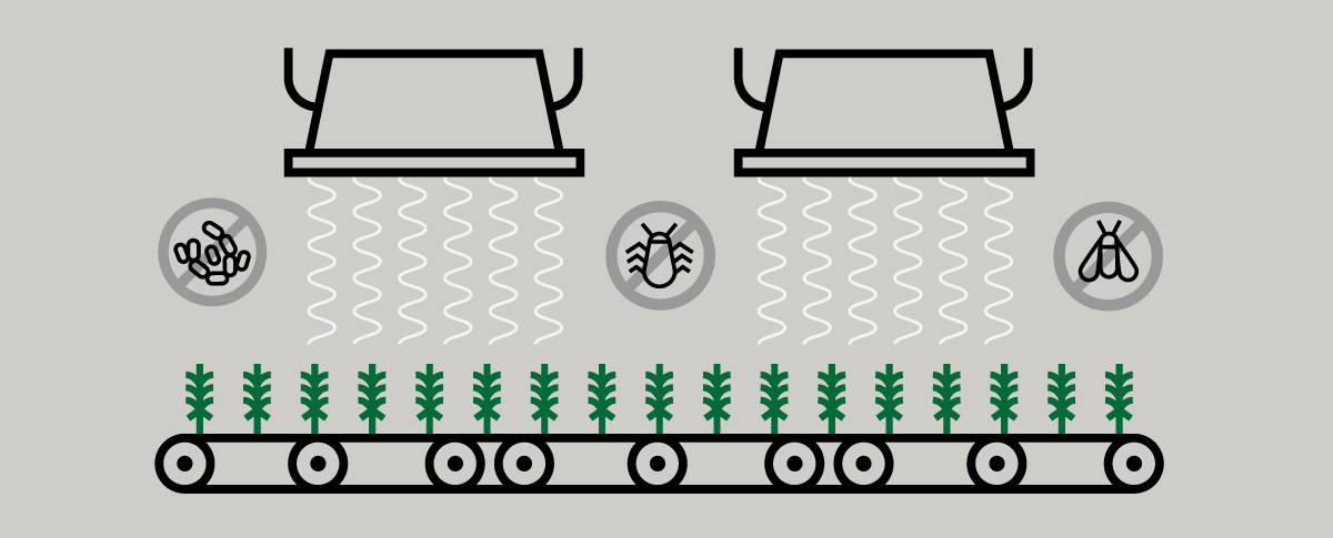 Irradiation du cannabis : ce qu’il faut savoir Irradiation du cannabis : ce qu’il faut savoir
